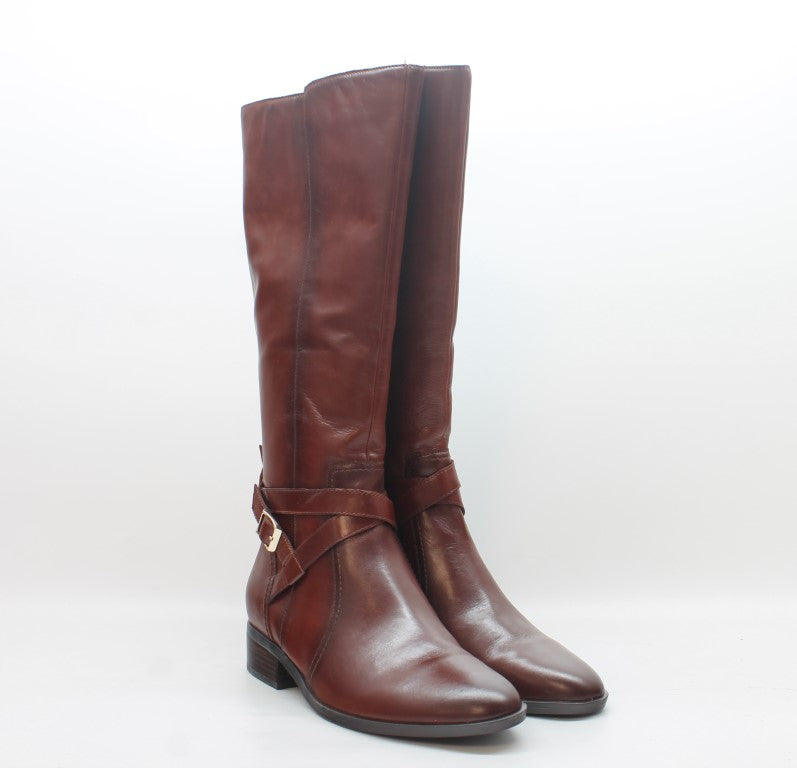 Saddle Brown